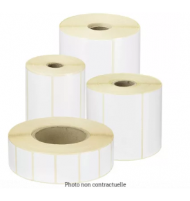 Etiquettes adhésives pré-imprimées